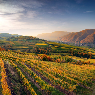 Wachau